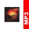 (MP3) Robert Spline - De l'or