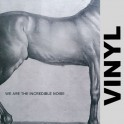 (VINYL) We are the incredible noise - We are the incredible noise