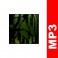 (MP3) Nerv - Mundo Wilderness