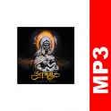 (MP3) Sermon - Sliver/Splinter
