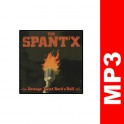 (MP3) The Spant X - No Flag