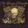 (CD) Old Bones Brigade - Rock'n Roll Saved My Soul